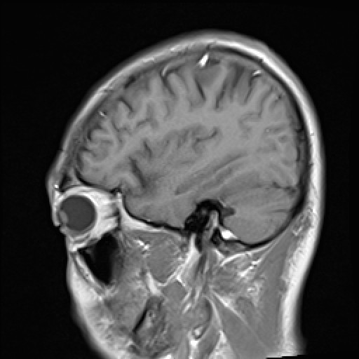 Click on the Serie image to view the images of VILLANUEVA, WILLIAM A.